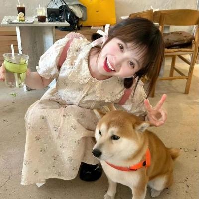 爱在离婚进行时